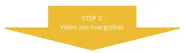 Step 3: Viden om overgrebet
