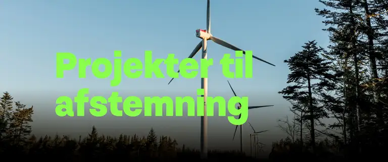 Projekter til afstemning